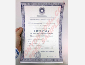 Ministero Della Pubblica Instruzione - Fake Diploma Sample from Italy